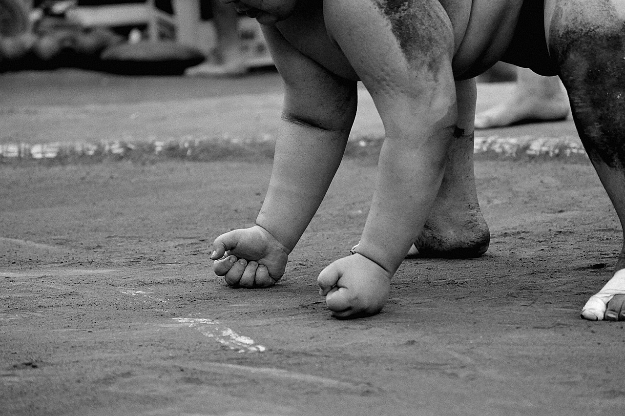 sumo, wrestling, sport, power, obesity, japan